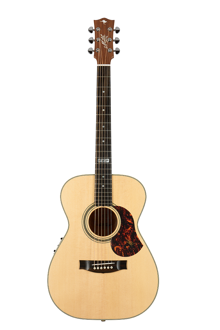 定価40万】maton ebg808te - アコースティックギター