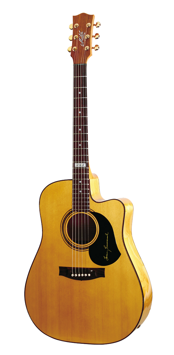 TE2-Tommy Emmanuel Signature- | Maton Guitars Japan